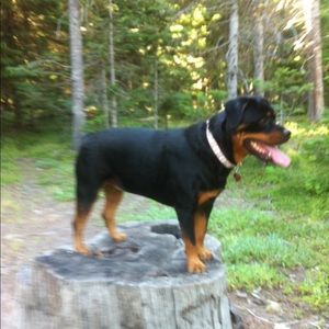 Meet your Posher, Traci